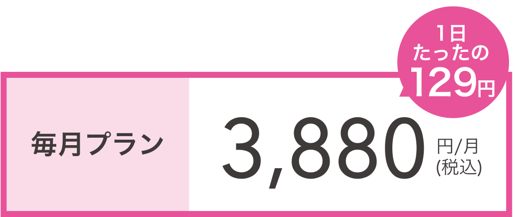 月額2,980円