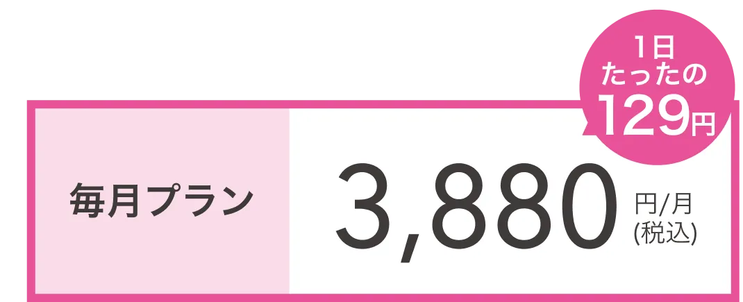 月額2,980円