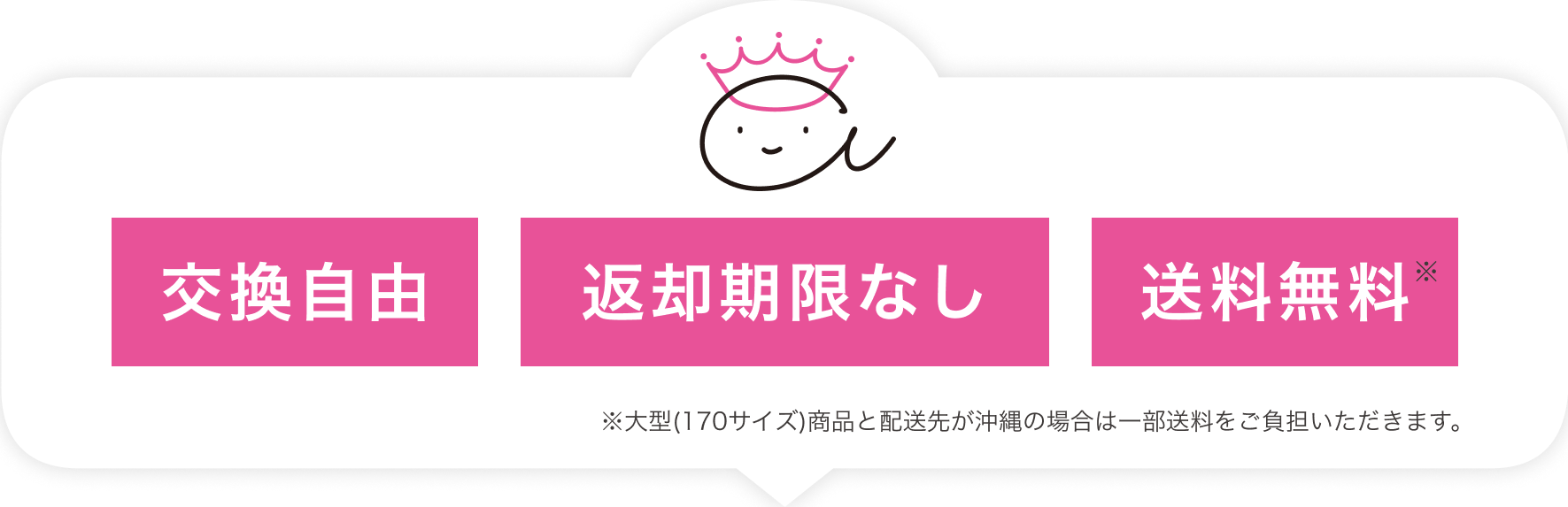 アリスプライム特徴